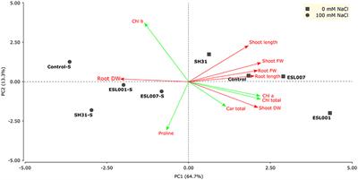 Bacterial Modulation of the Plant Ethylene Signaling Pathway Improves Tolerance to Salt Stress in Lettuce (Lactuca sativa L.)